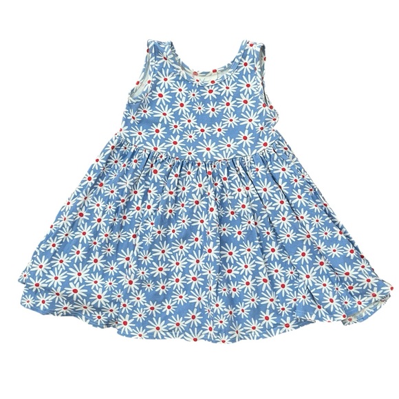 Vivie & Ash (5T) Daisy Twirl Dress - Picture 1 of 9